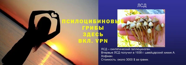 шишки Верхний Тагил